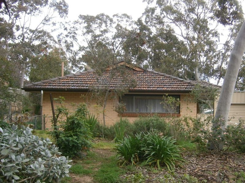 12 Shaw Street, Athelstone SA 5076
