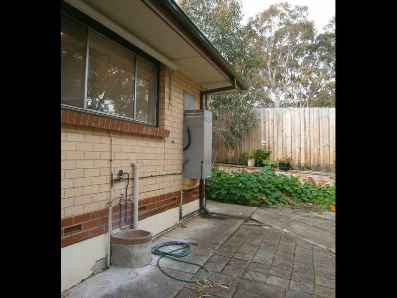 12 Shaw Street, Athelstone SA 5076