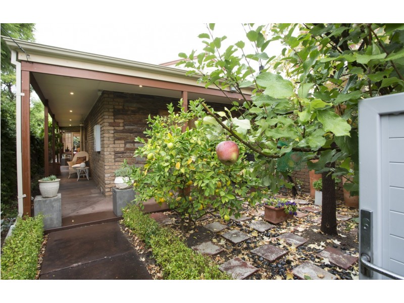 207A Young Street, Unley SA 5061