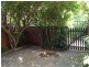 4/ 14 Maesbury Street, Kensington SA 5068