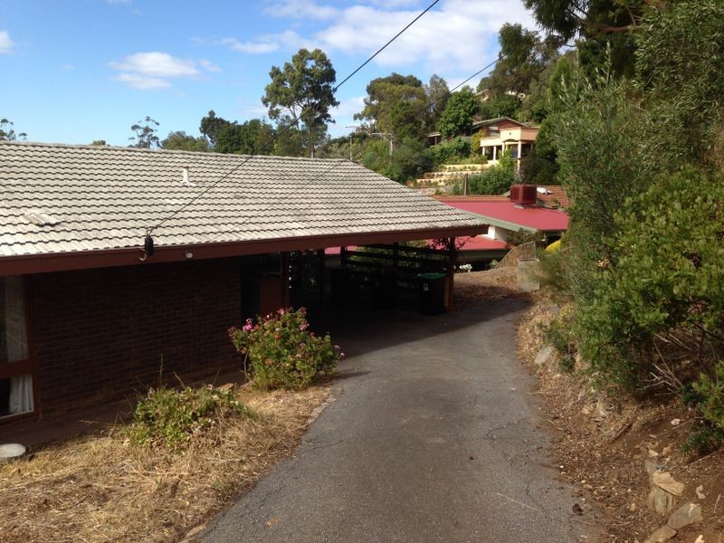 7 Clark Street, Wattle Park SA 5066