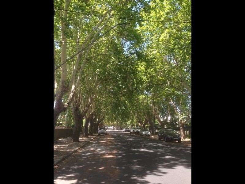 4 Fifth Avenue, St Peters SA 5069