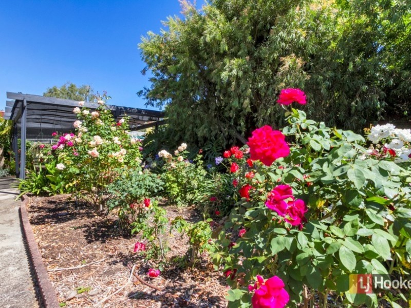 3 Fysh Court, Modbury Heights SA 5092