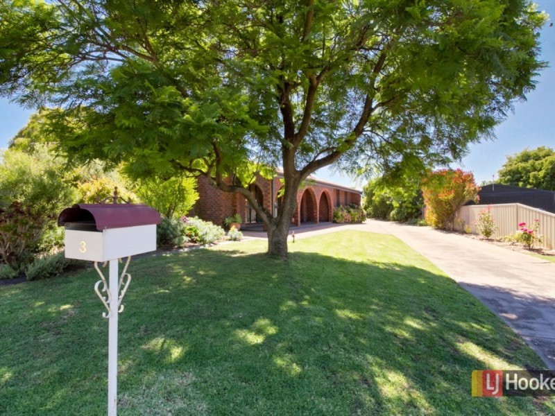 3 Fysh Court, Modbury Heights SA 5092
