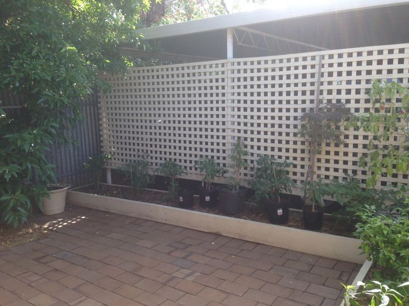 4/15 Howard Terrace, Hazelwood Park SA 5066