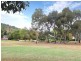10 Riesling Crescent, Wattle Park SA 5066