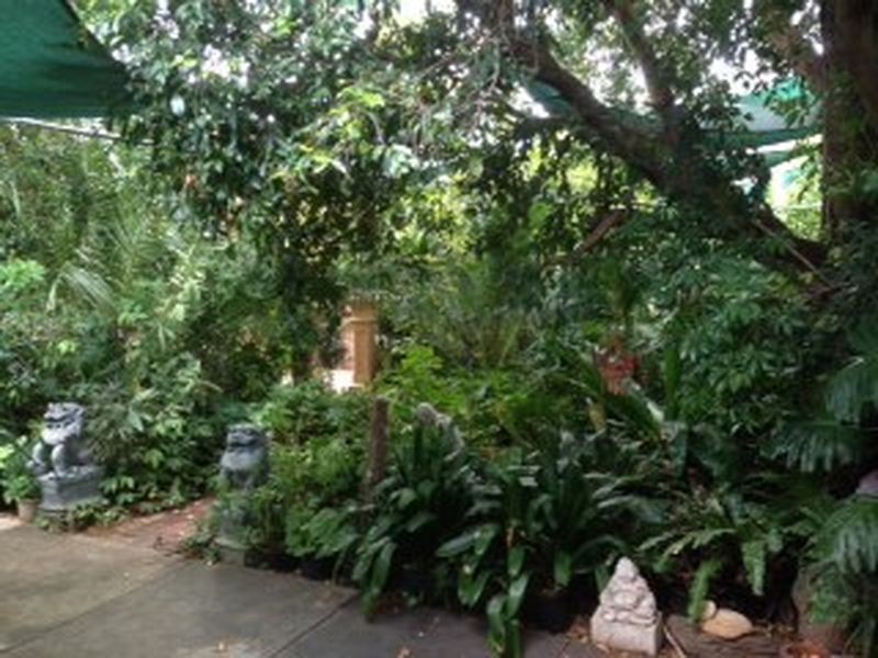 5 Warwick Avenue, Toorak Gardens SA 5065