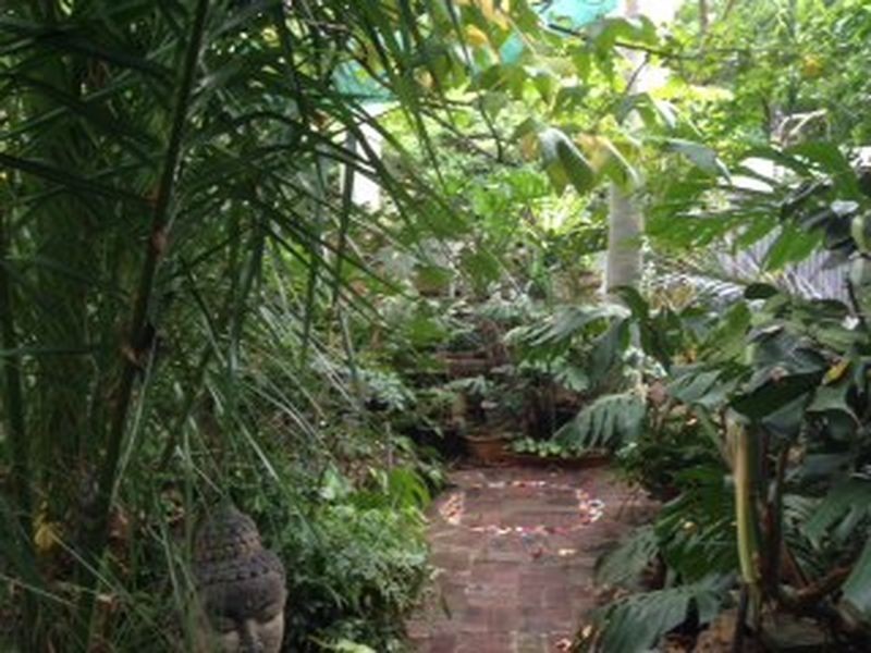 5 Warwick Avenue, Toorak Gardens SA 5065