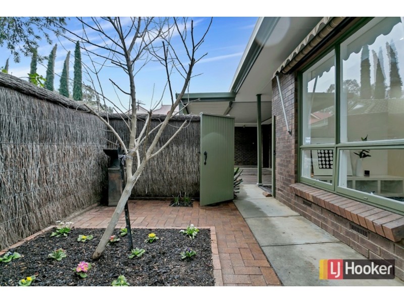 3/37 Scott Street, Parkside SA 5063