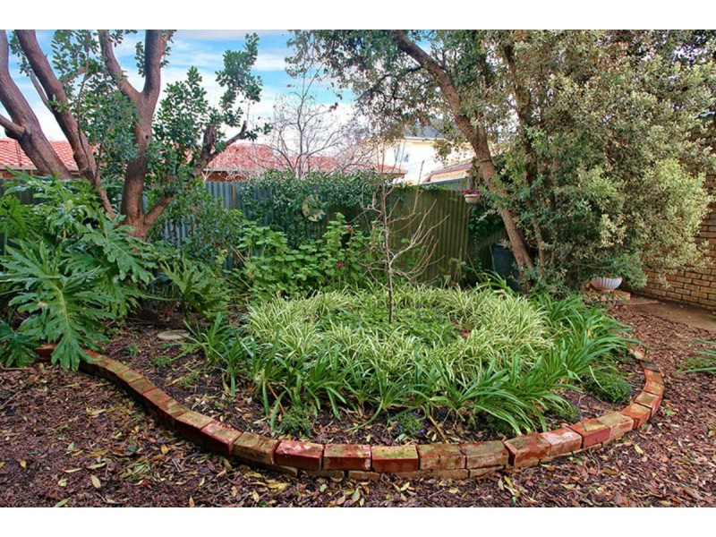 3/17 Thornton Street, Kensington SA 5068