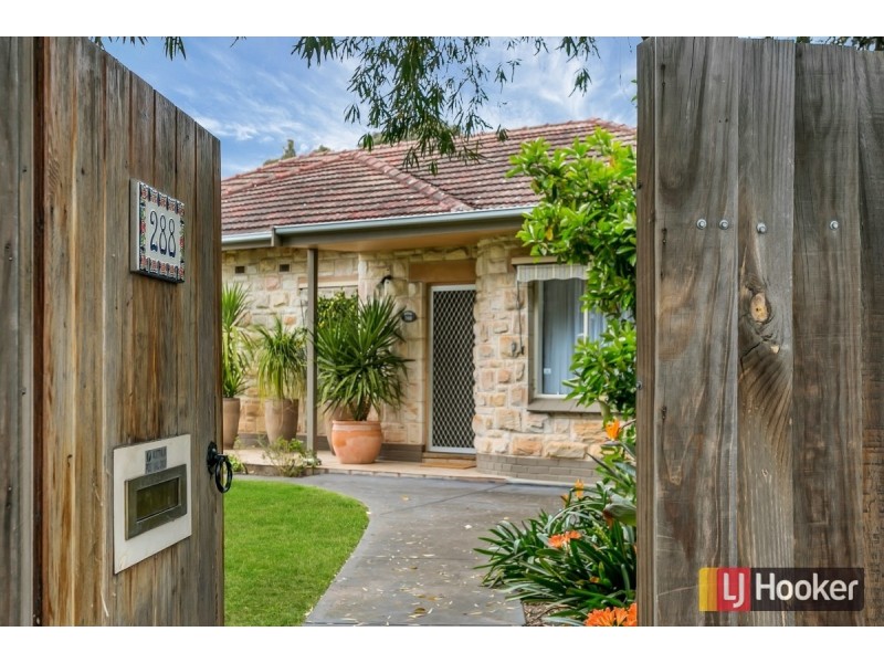 288 Magill Road, Beulah Park SA 5067