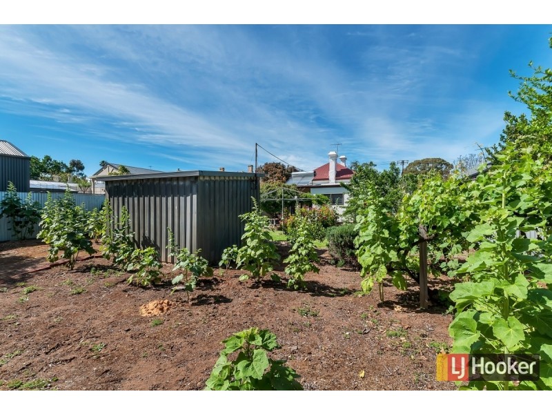 52 Mills Street, Clarence Park SA 5034