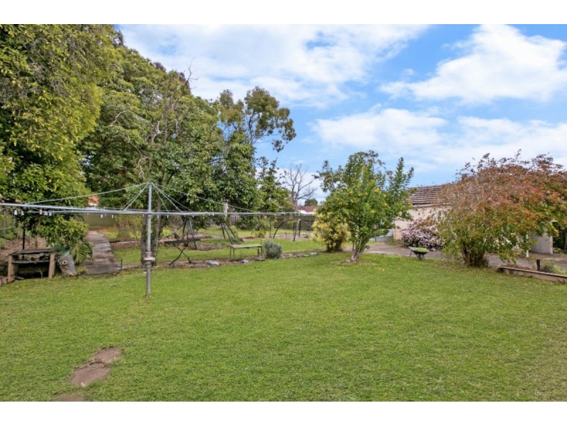 12 Kitchener Street, Netherby SA 5062