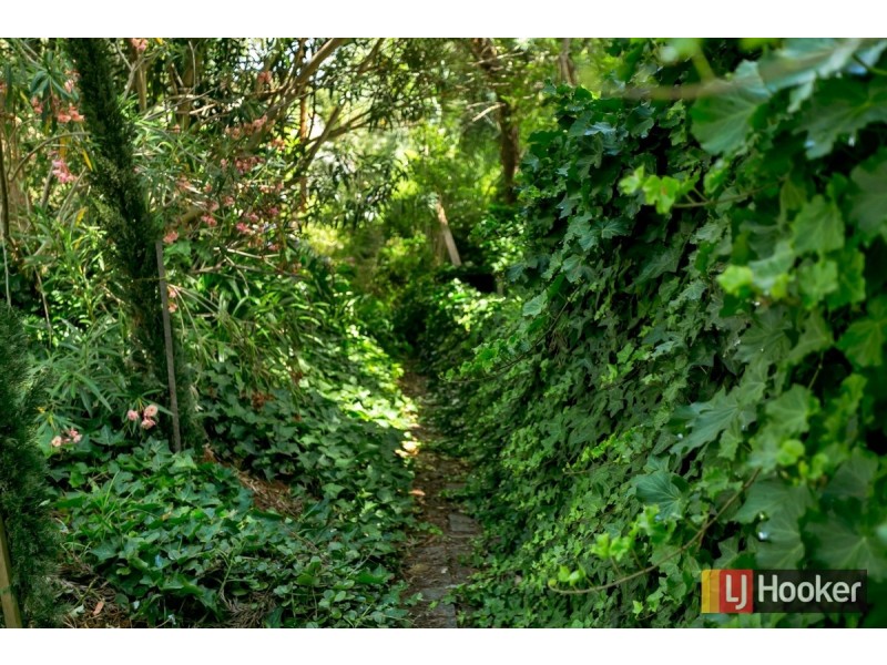 25 Queens Avenue, Burnside SA 5066