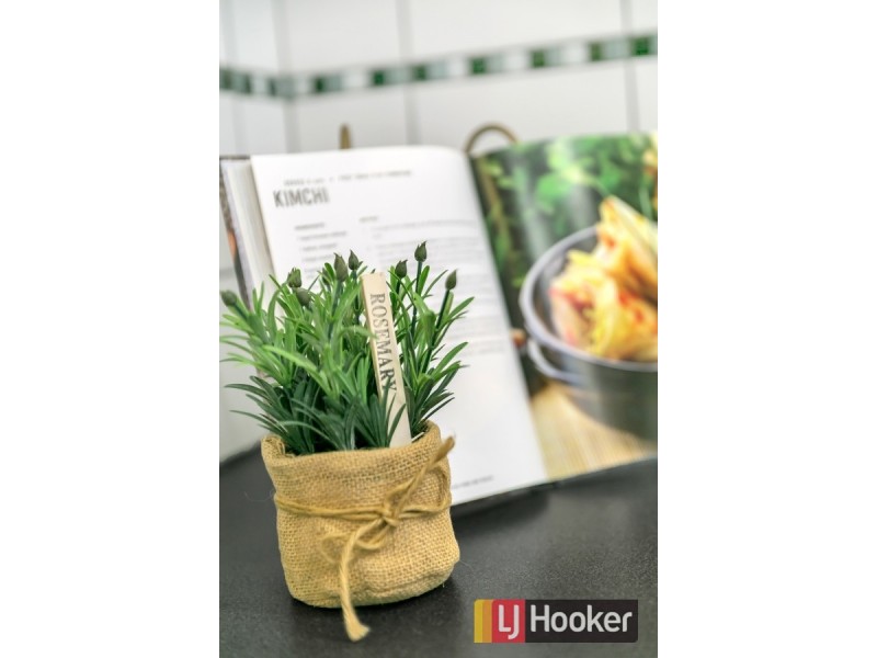 6 Kurralta Drive, Burnside SA 5066