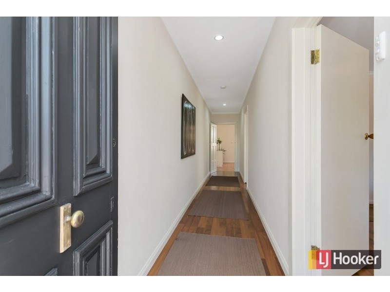 53 Marion Street, Unley SA 5061