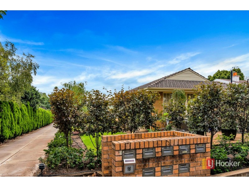 3/16 Watson Street, Fullarton SA 5063