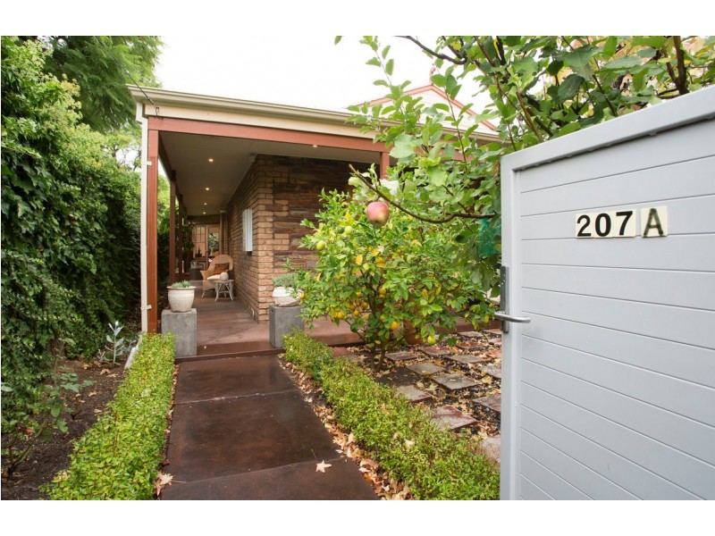207A Young Street, Unley SA 5061