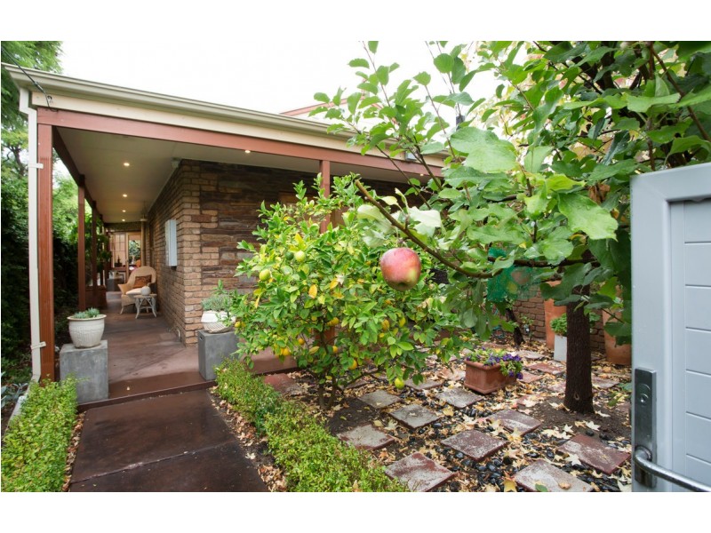 207A Young Street, Unley SA 5061