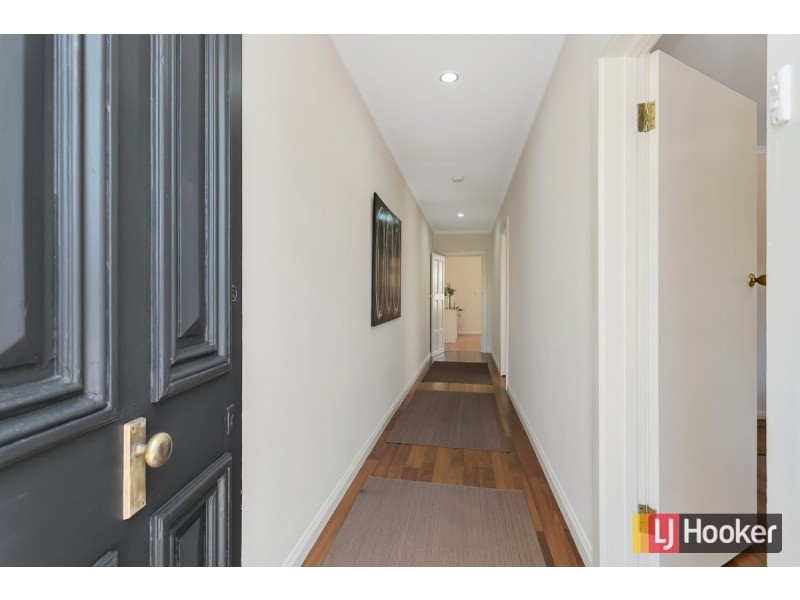 53 Marion Street, Unley SA 5061