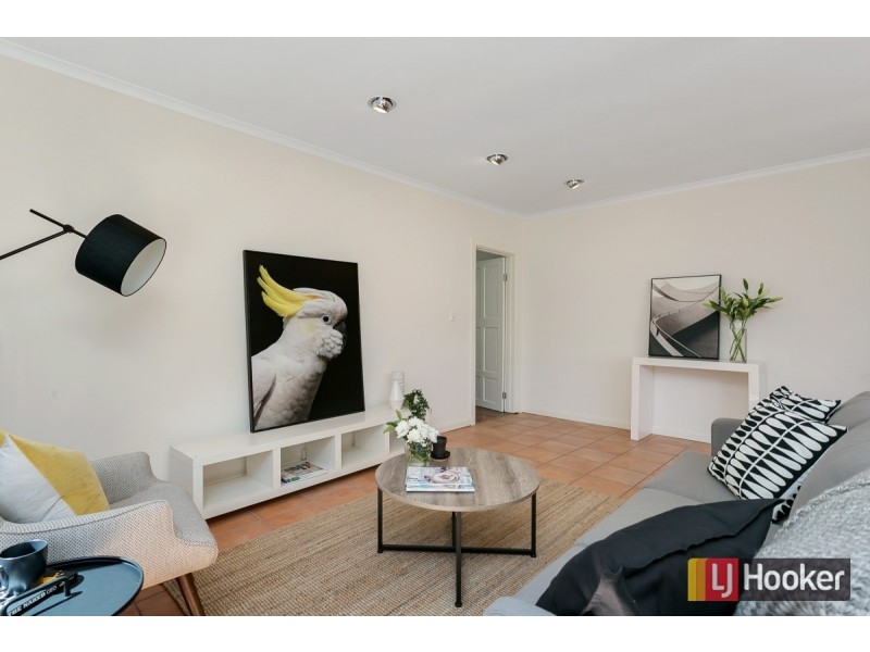 53 Marion Street, Unley SA 5061