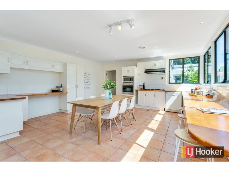 53 Marion Street, Unley SA 5061