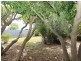 2/551 The Parade, Magill SA 5072