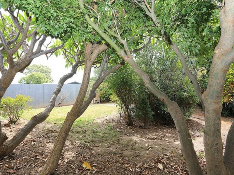 2/551 The Parade, Magill SA 5072