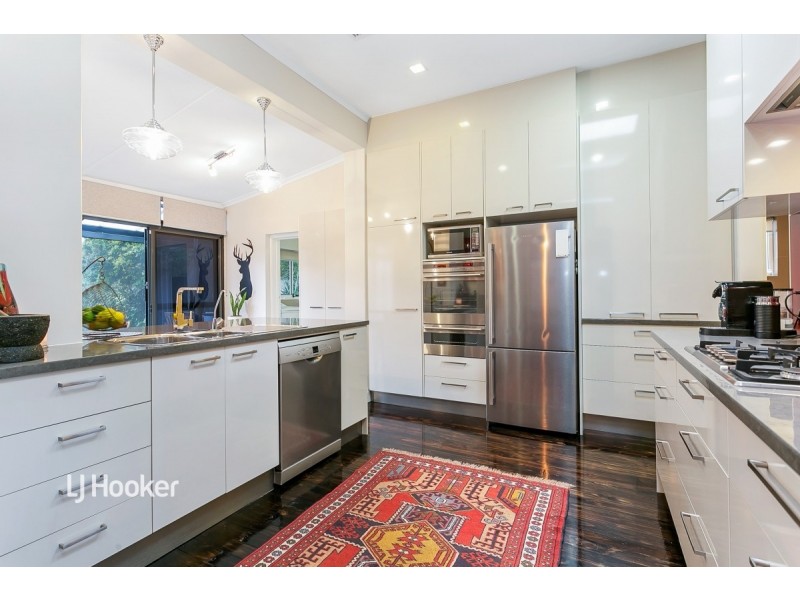 53 Kingston Avenue, Daw Park SA 5041