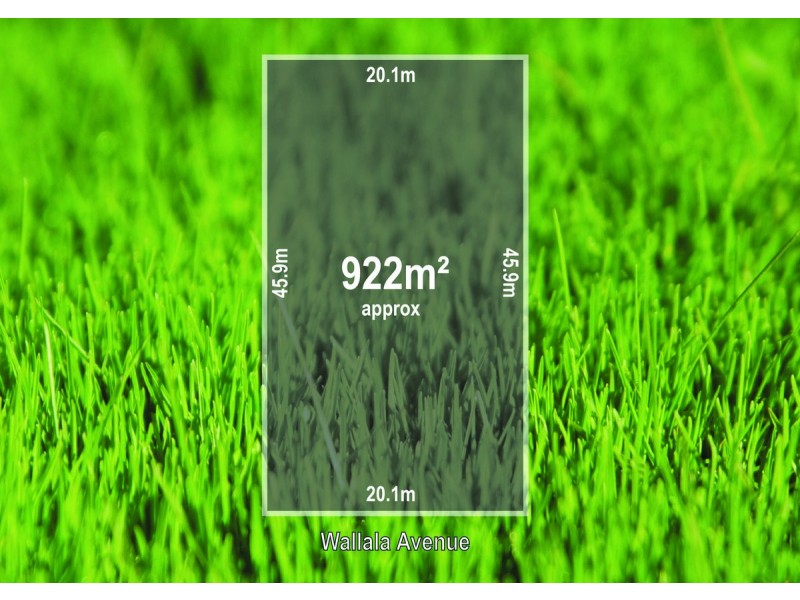 78 Wallala Avenue, Park Holme SA 5043