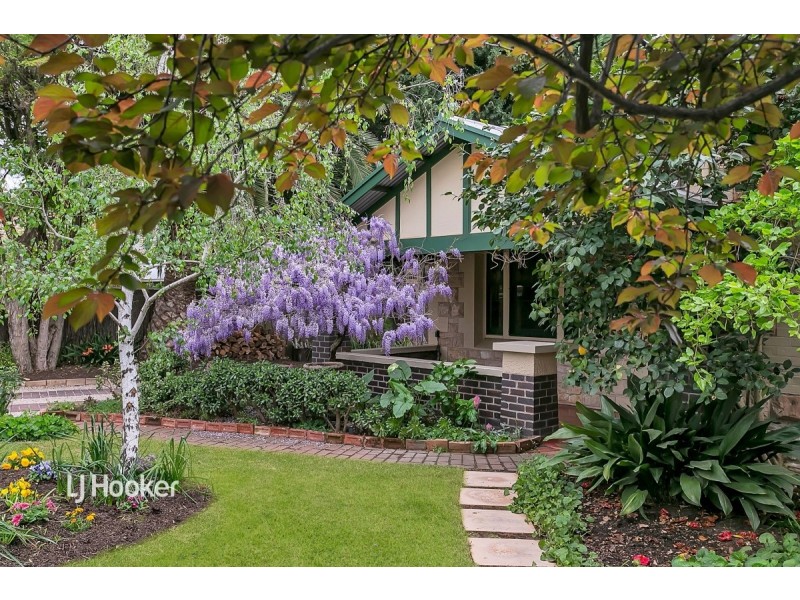 16 Meredyth Avenue, Millswood SA 5034