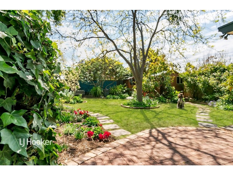 16 Meredyth Avenue, Millswood SA 5034