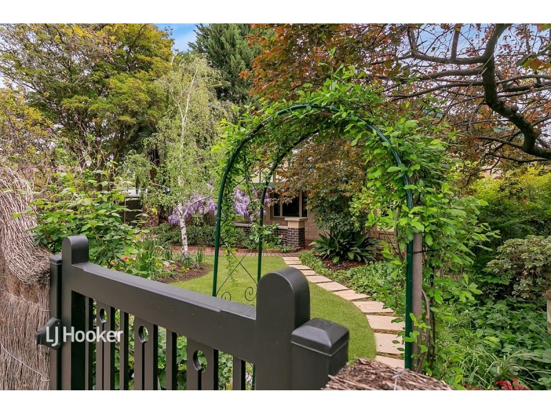 16 Meredyth Avenue, Millswood SA 5034