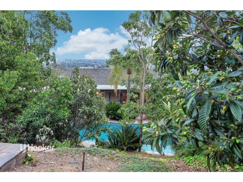 584 The Parade, Auldana SA 5072