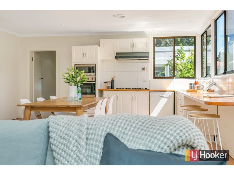 53 Marion Street, Unley SA 5061