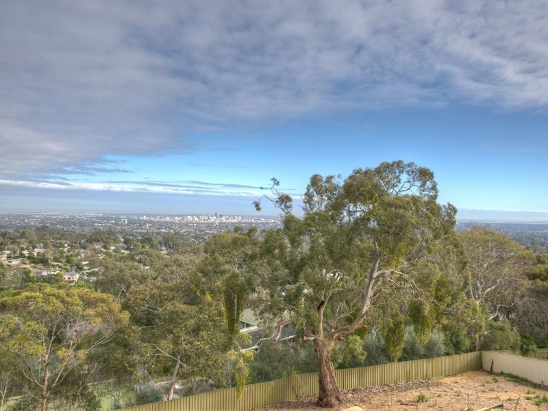 13 Burnalta Crescent, Burnside SA 5066