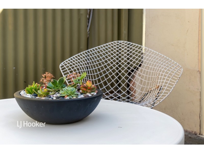 8 Foster Street, Norwood SA 5067