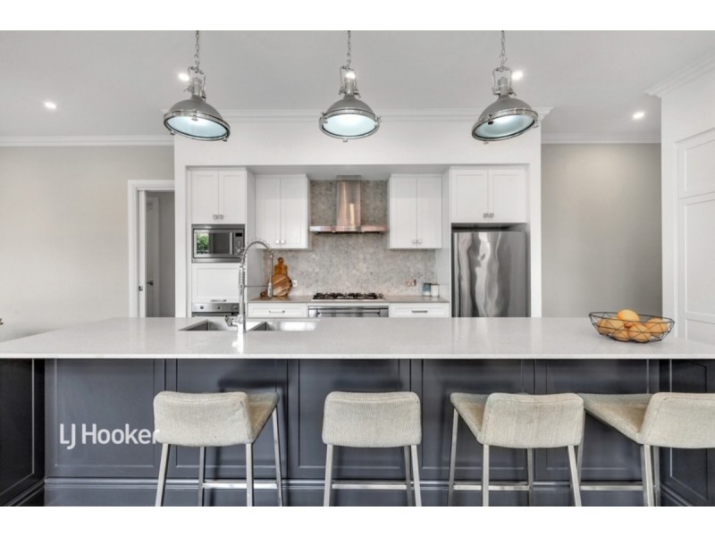 34 Hart Avenue, Unley SA 5061