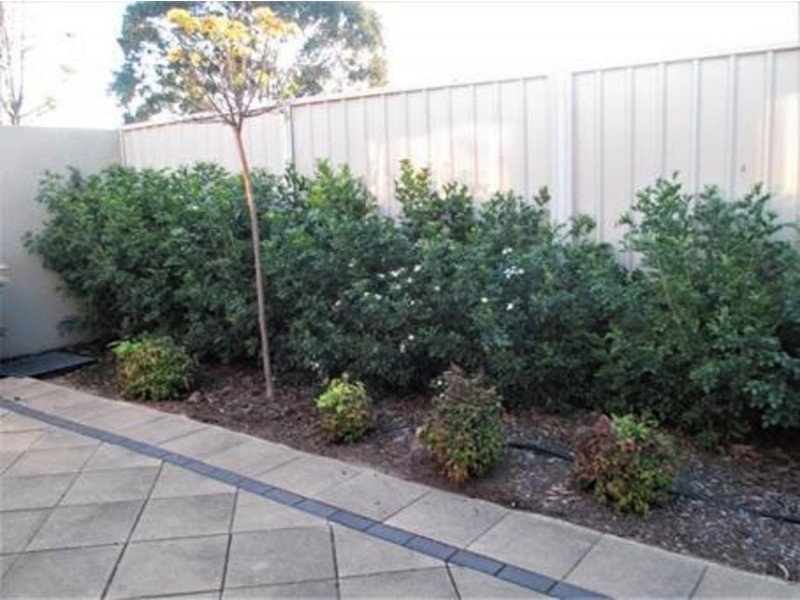 117A Ashbrook Avenue, Trinity Gardens SA 5068