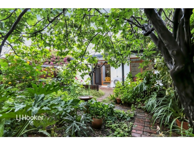 43 William Street, Norwood SA 5067