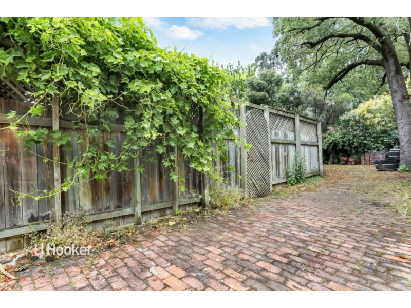 43 William Street, Norwood SA 5067