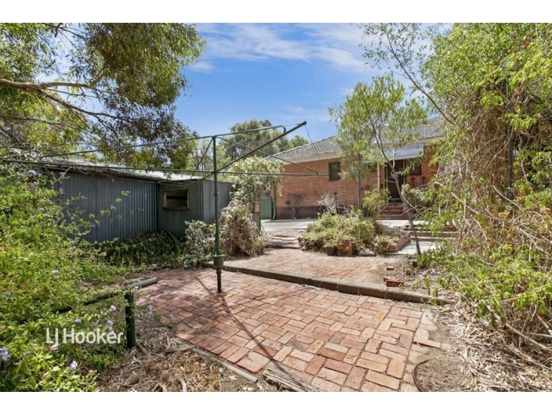 6 Magnolia Court, Banksia Park SA 5091
