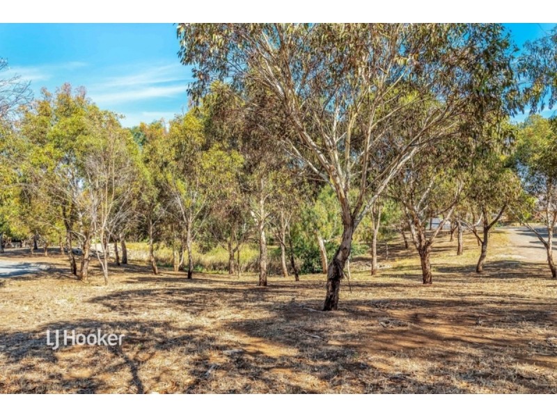 3 St Vincent Circuit, Sheidow Park SA 5158