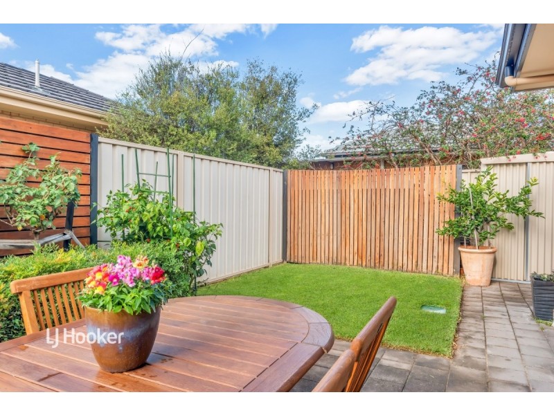 29 McShane Street, Campbelltown SA 5074