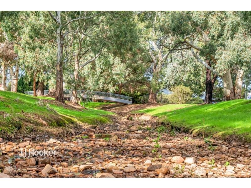 29 McShane Street, Campbelltown SA 5074