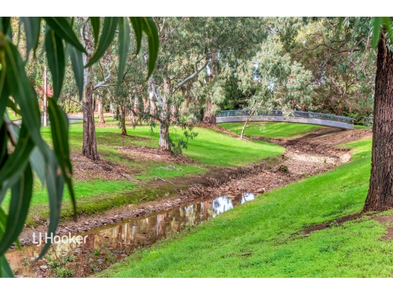 29 McShane Street, Campbelltown SA 5074