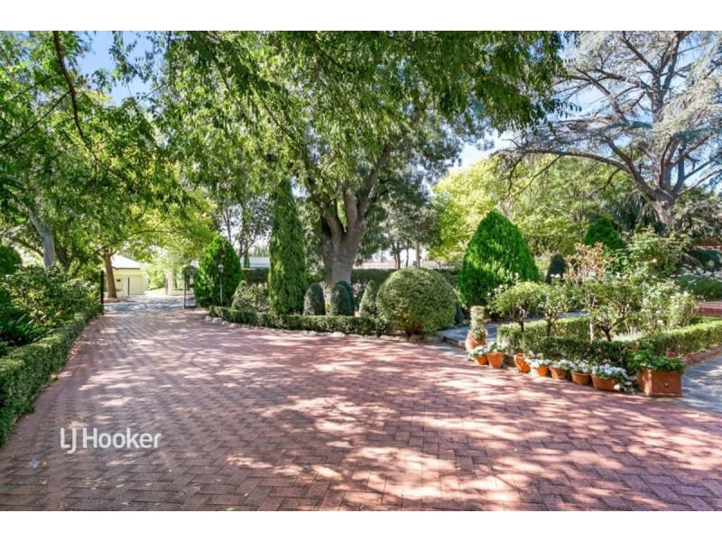 6 Dalaston Avenue, Glenunga SA 5064