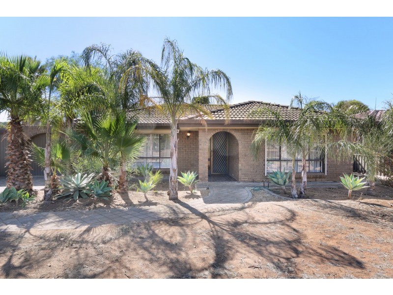 13 Scholes Avenue, Parafield Gardens SA 5107