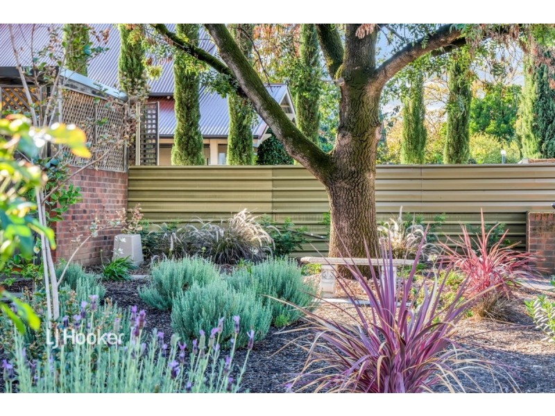 2/22 Park Street, Hyde Park SA 5061