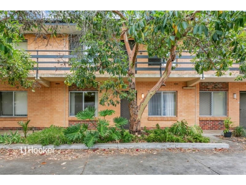 5/302 Young Street, Wayville SA 5034